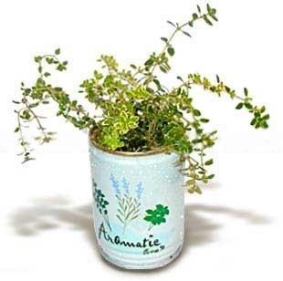 ceges emblemazott konzerv viragok