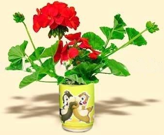 logozott egyedi konzerv virag