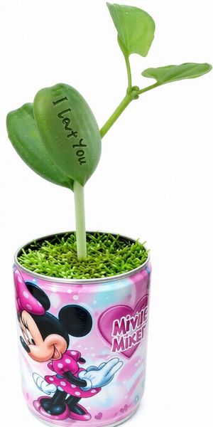 plante conserva promotionale