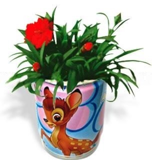 flori conserva promotionale