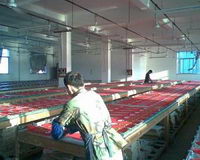 materiale lampioane hartie